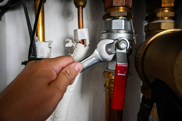 Best Affordable Plumbing Services  in Carmel, IN